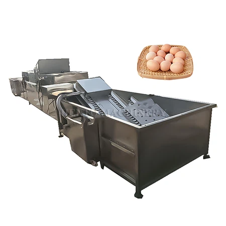 Tojáskefe tisztító szárító gyártósor