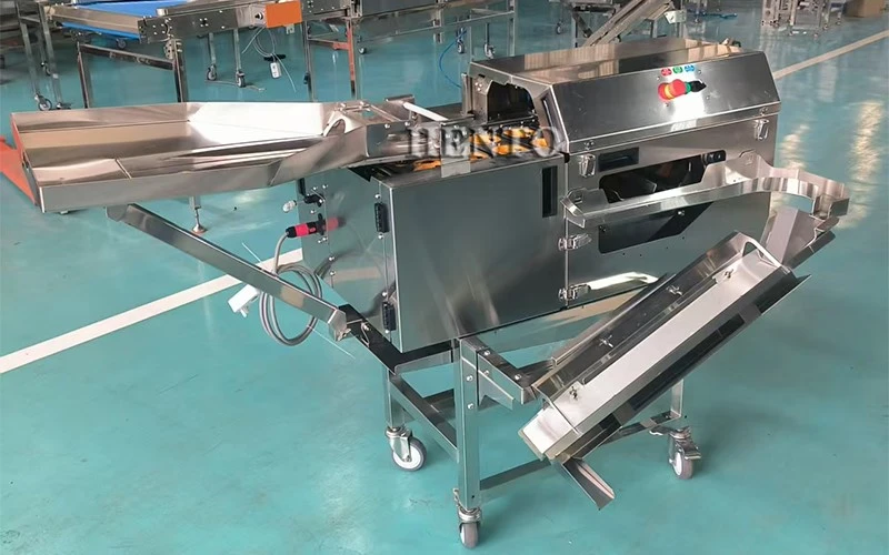 Egg Yolk Separator Egg Yolk Separator