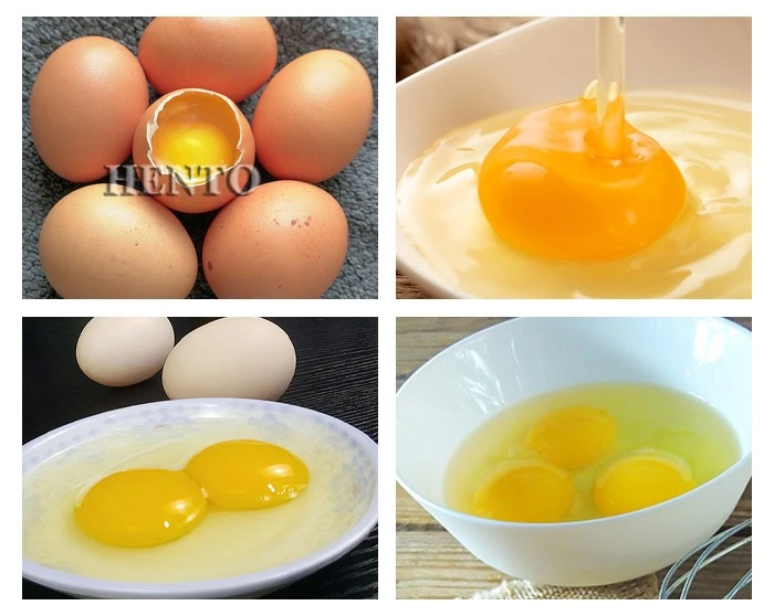Egg Separator Egg Separator