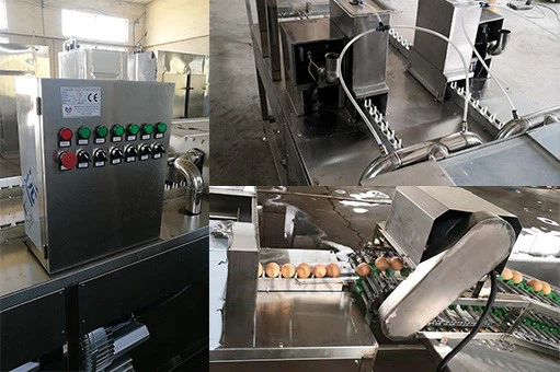 egg processling line egg processling line